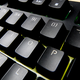 Illustration for article titled Topre Realforce RGB Keyboard Review: Life Beyond The Rubber Dome